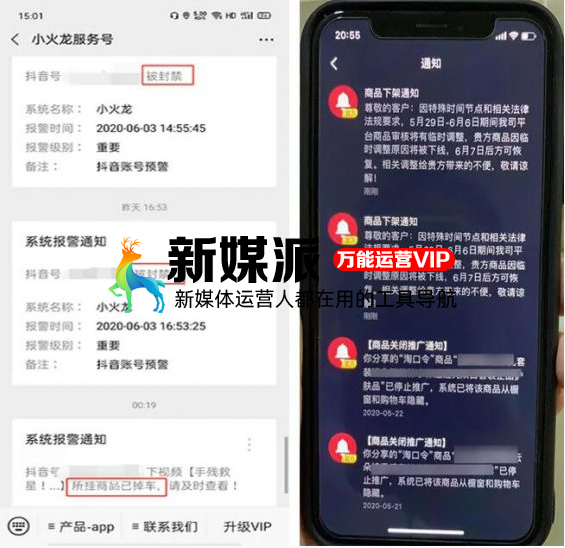 玩dou+月佣金1000万的老板,真诚分享6点经验!