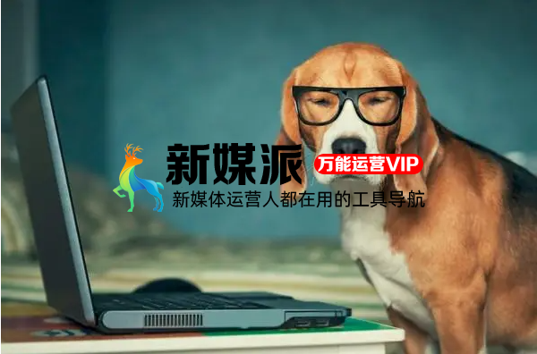 产品失败了,产品经理要不要承担责任?