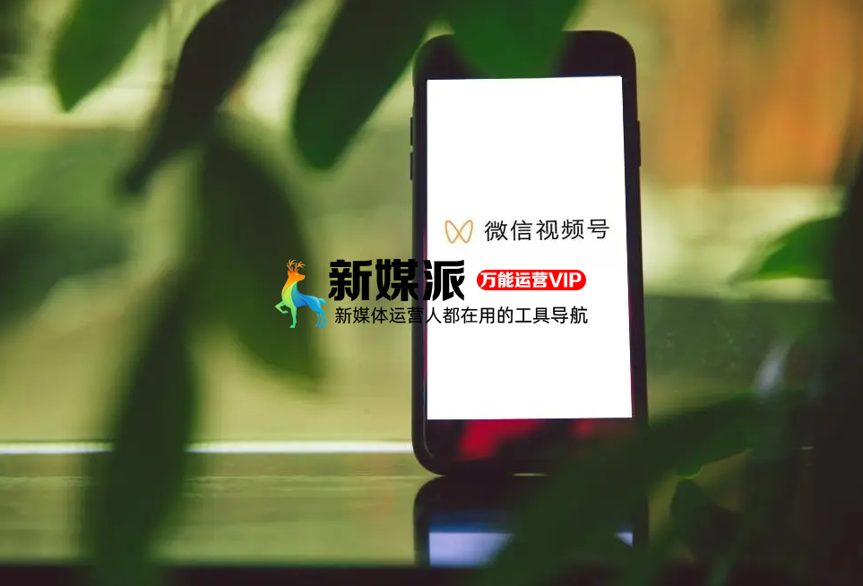 从视频号看内容分发的底层逻辑