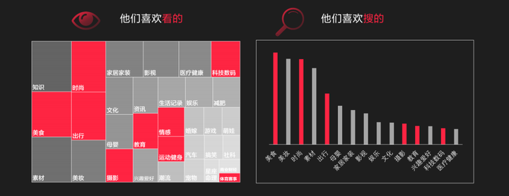 探索小红书品牌和博主的成长秘诀:品类分析