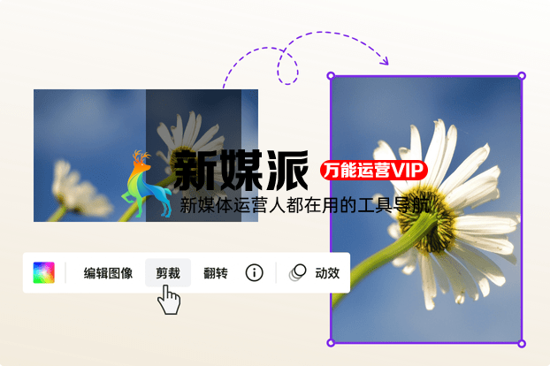 Canva 可画