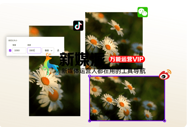 Canva 可画