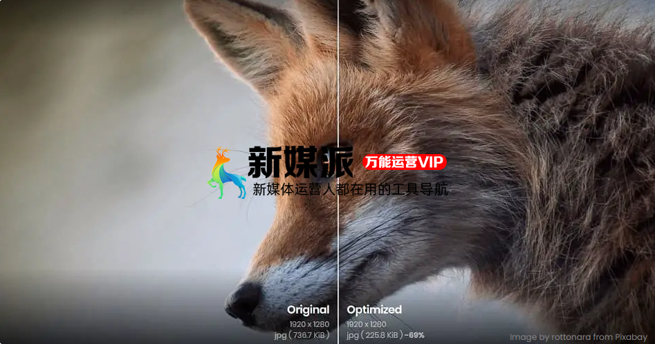 Online Image Tool