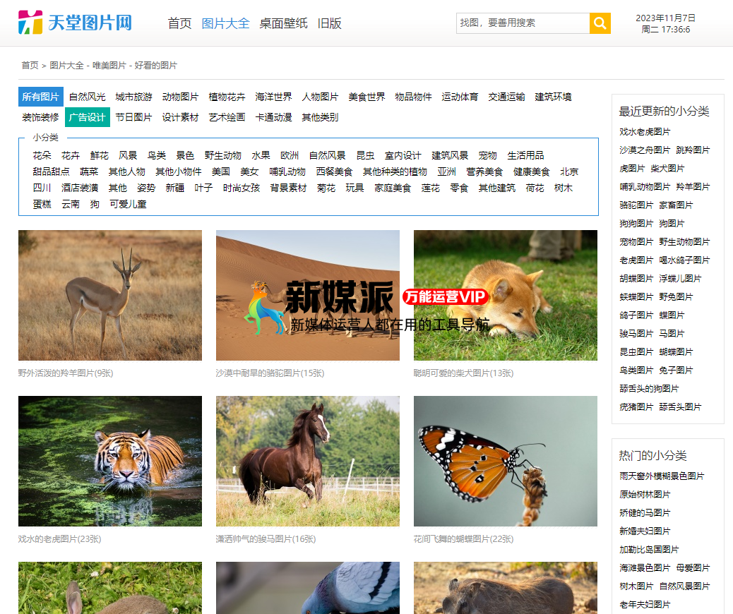 天堂图片网