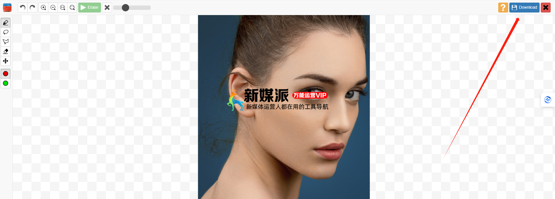 Inpaint网页版 - 免费在线图片去水印工具