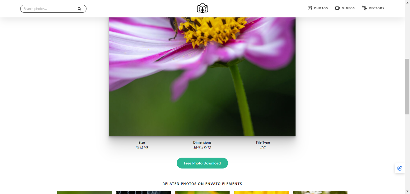 Free Nature Stock