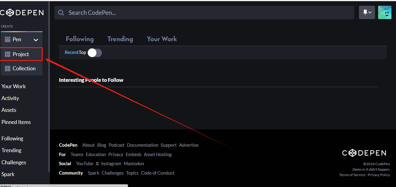 codepen – 前端代码编写测试运行在线工具插图10