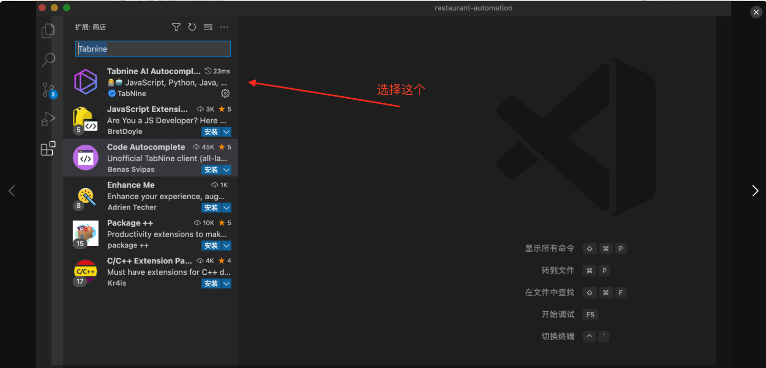 Tabnine – 高效AI代码补全工具/提升编程速度与质量插图4