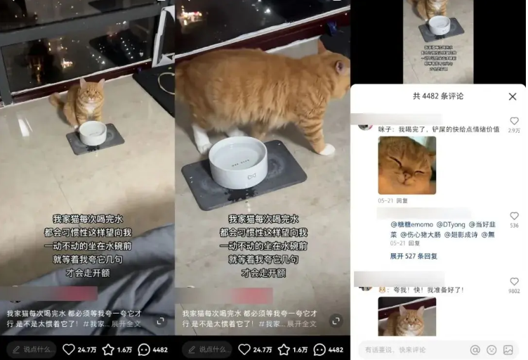 拆解小红书1000篇爆文后,总结出来这几个套路!你一定要看