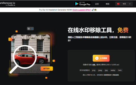 水印去除剂 – 在线免费水印去除工具