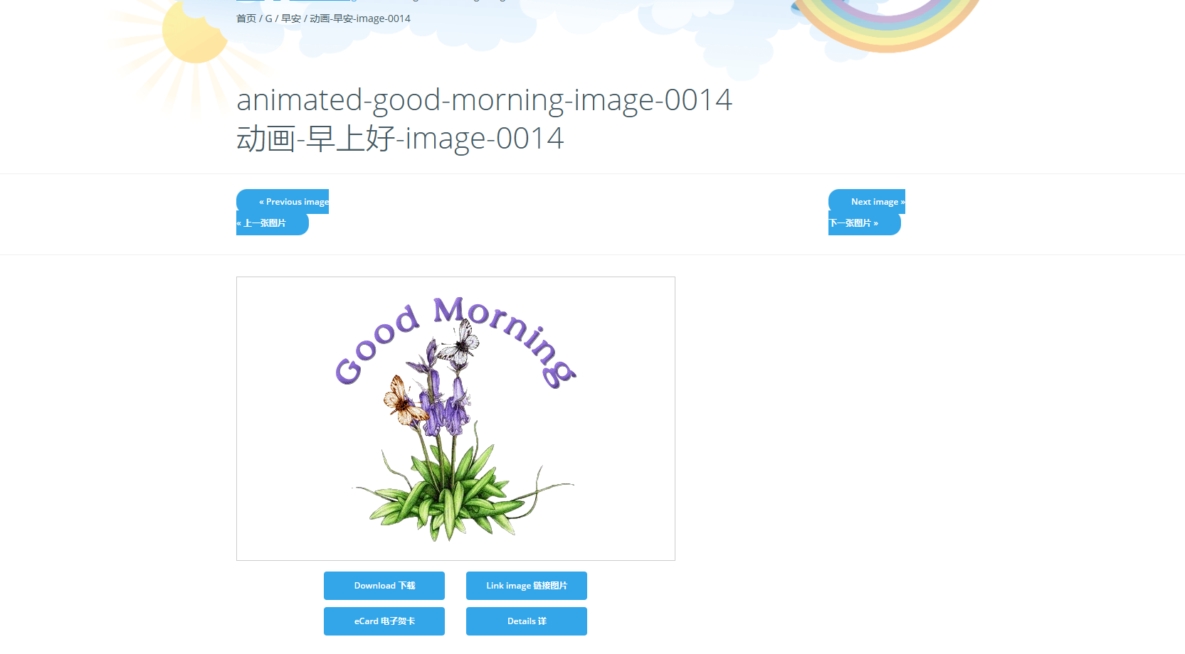 AnimatedImages