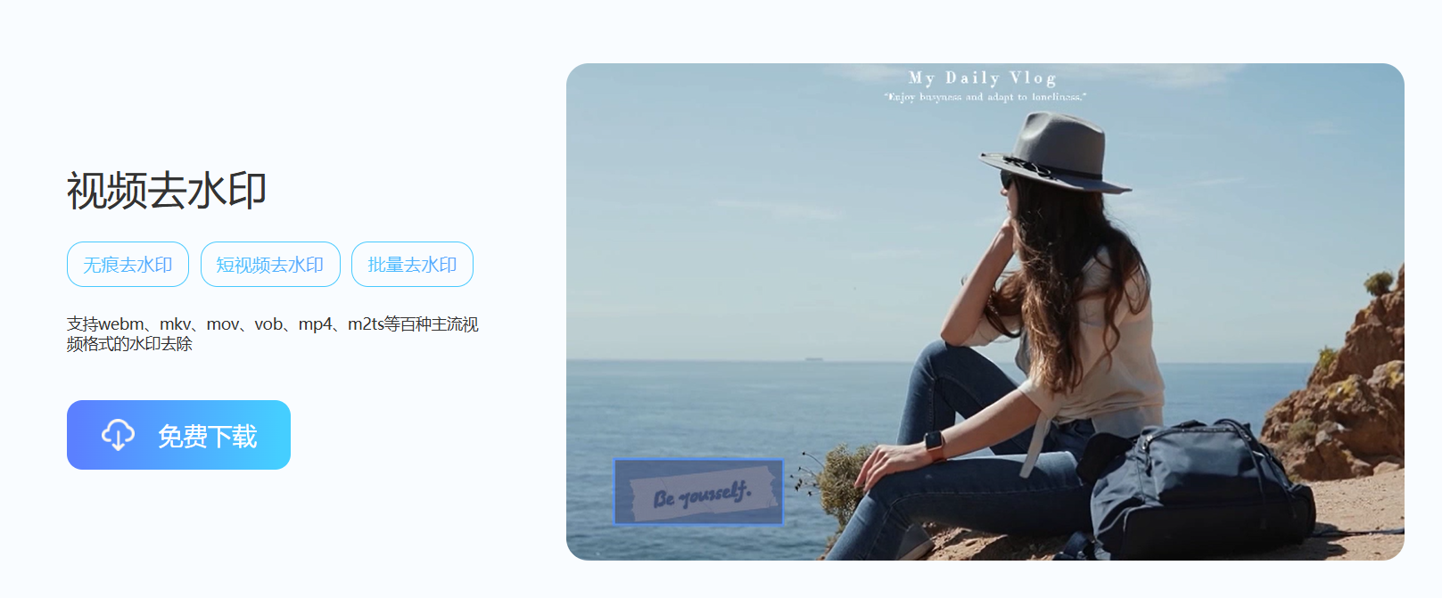 金舟水印助手 – 一键图片/视频去水印、加水印工具插图2