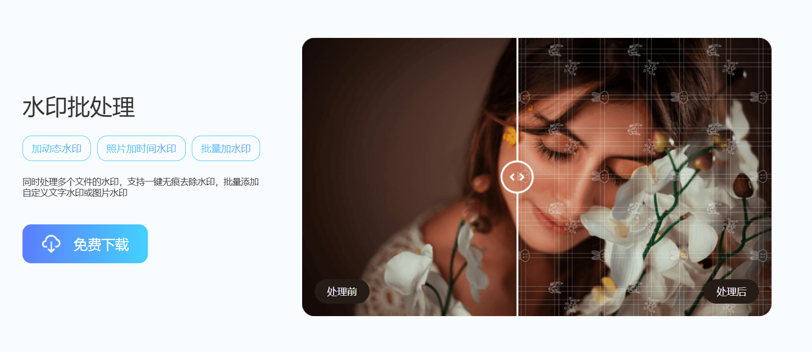 金舟水印助手 – 一键图片/视频去水印、加水印工具插图6