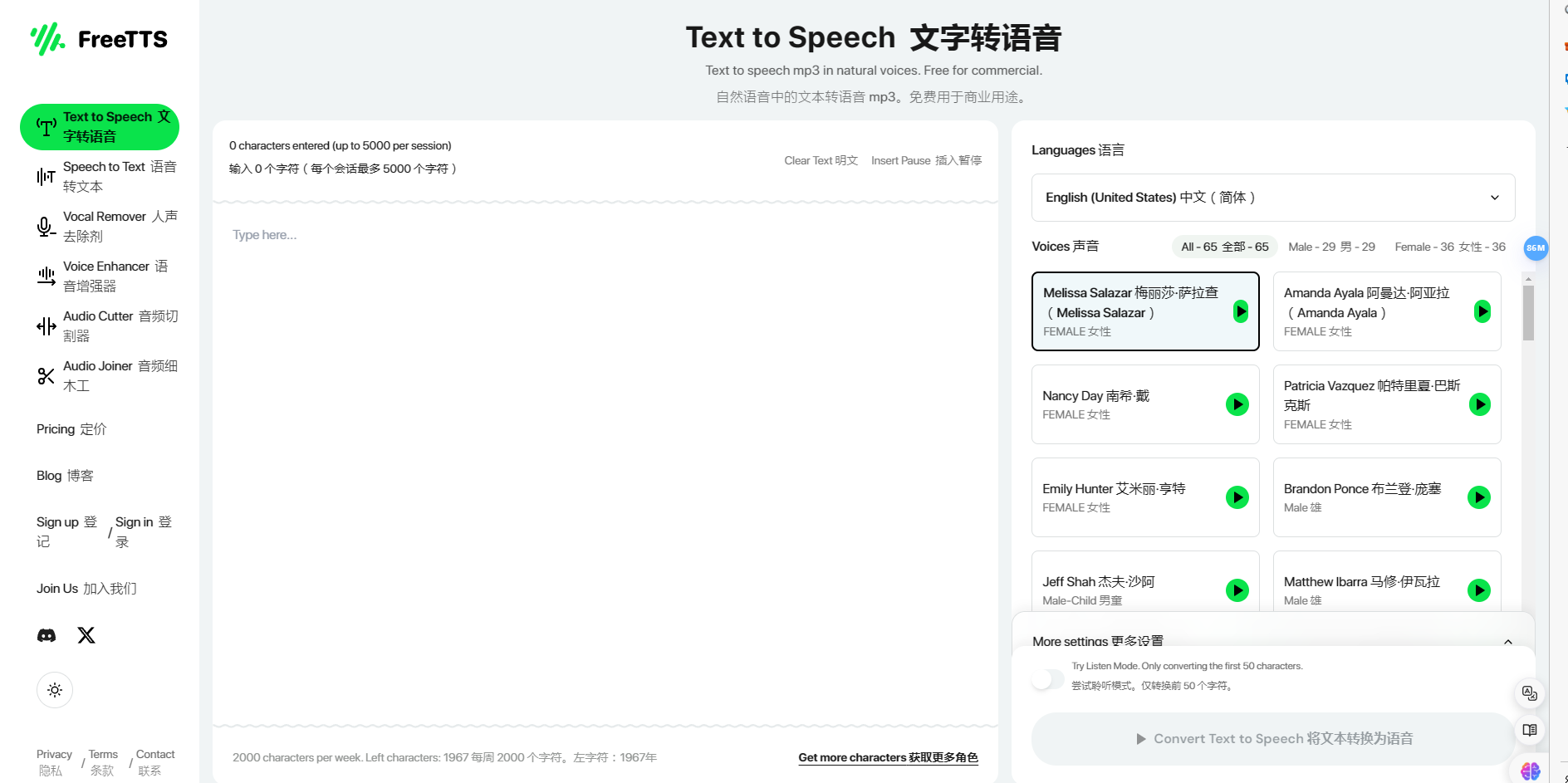输入文本 FreeTTS