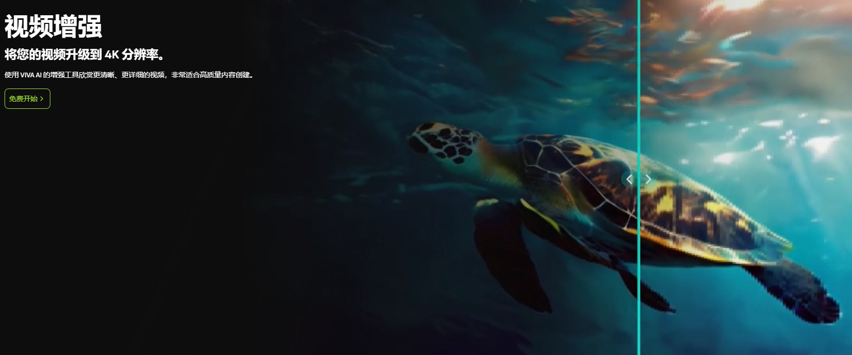 Viva.ai – 免费的 AI创意视觉生成平台，文本生成图像和视频插图8