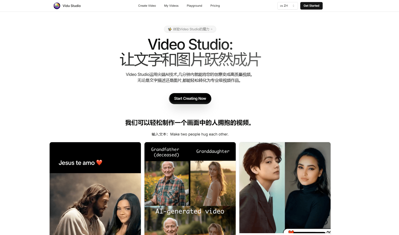 Vidu Studio