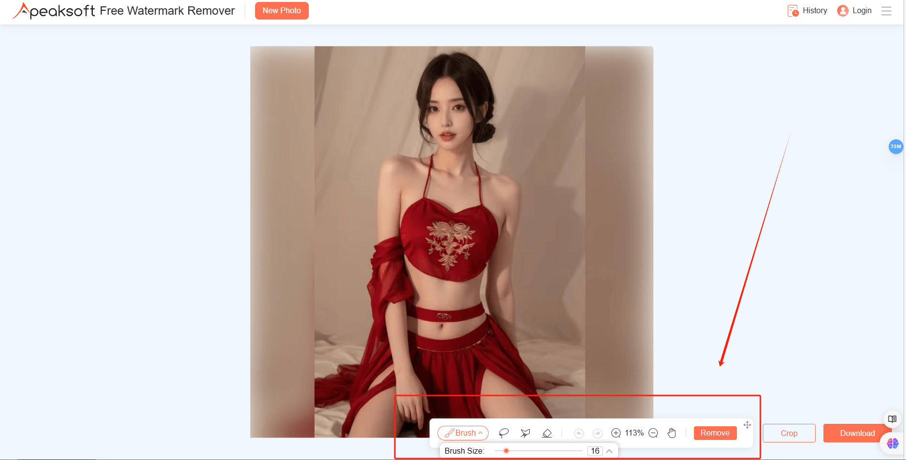 Apeaksoft免费水印去除剂