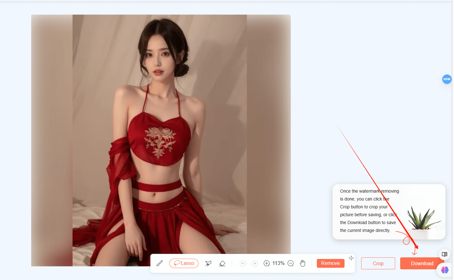 Apeaksoft免费水印去除剂