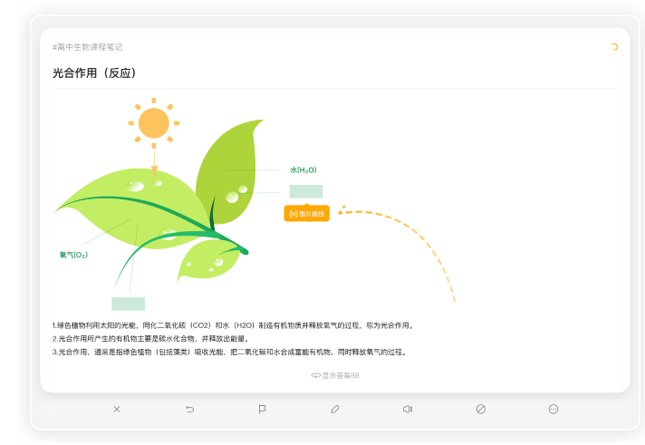 闪记卡