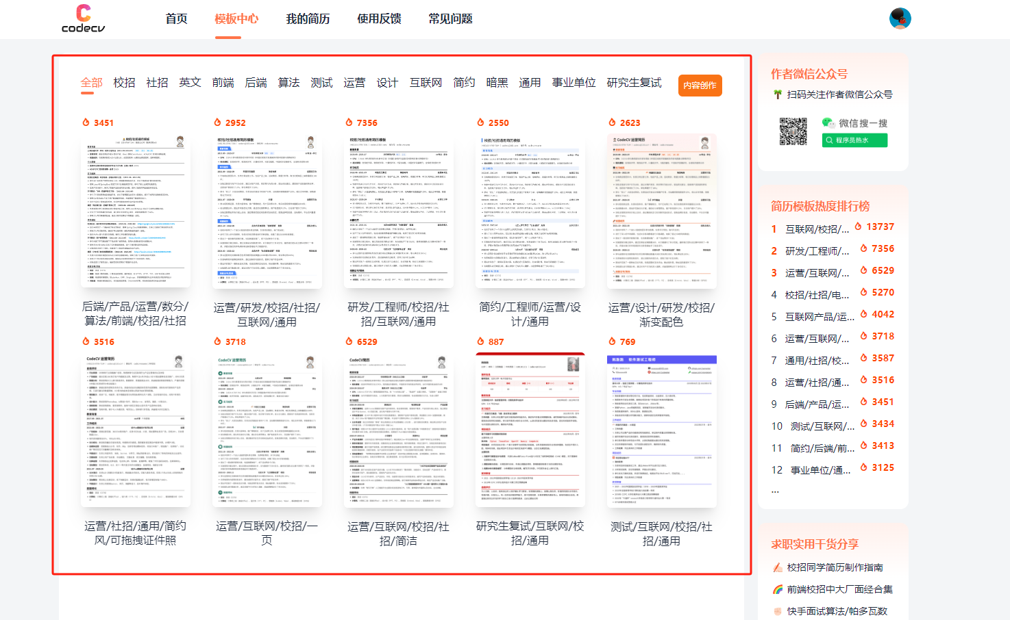 CodeCV简历