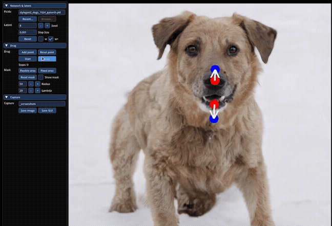 DragGAN – AI交互式图像编辑工具、拖拽就能精准P图插图2