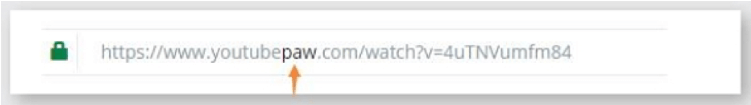 VidPaw
