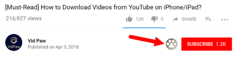 VidPaw