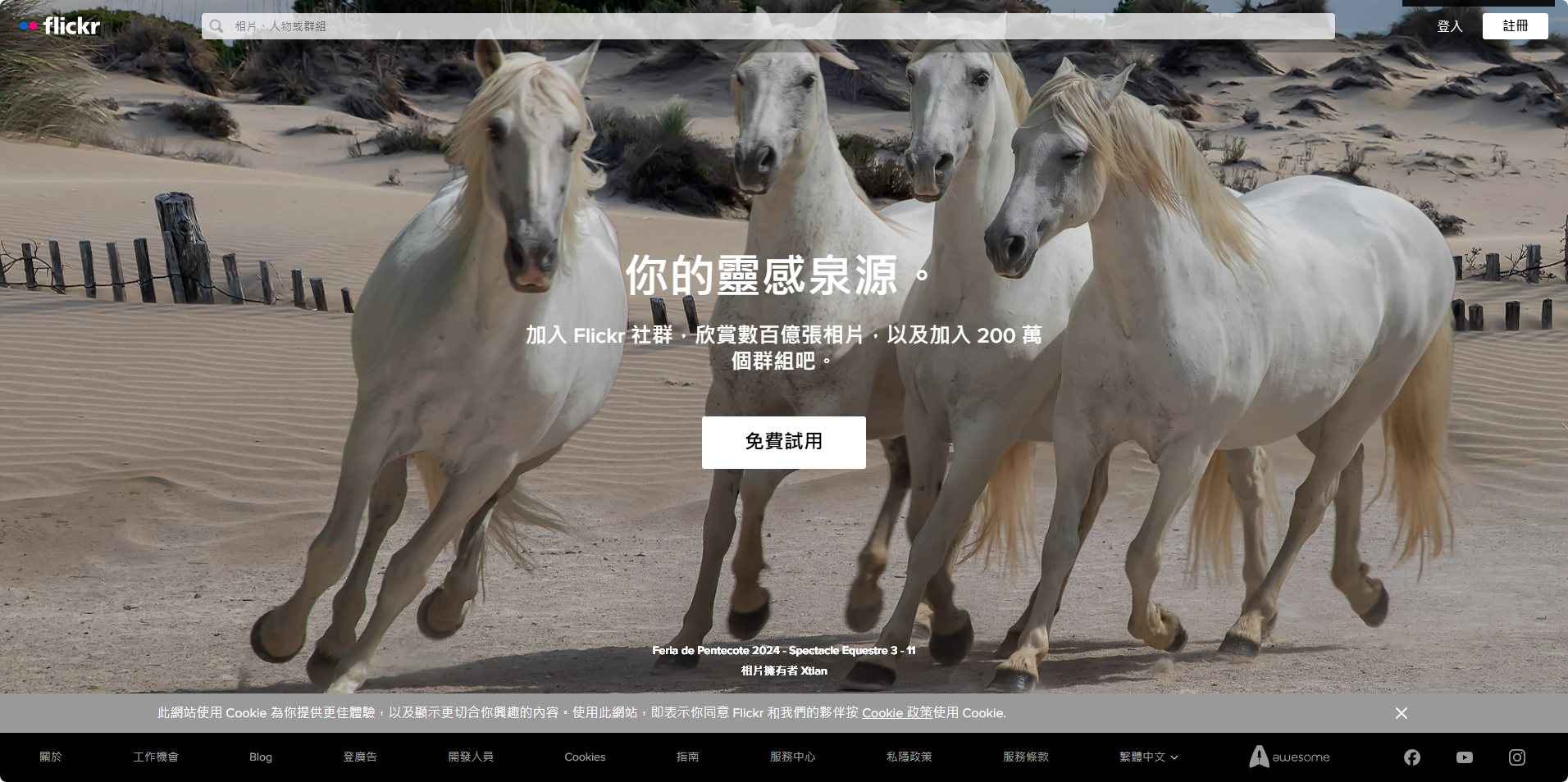 Flickr - 摄影爱好者的社区与灵感源泉 Flickr