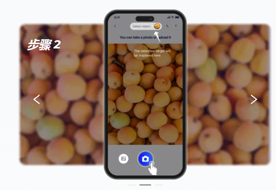 CountAnything