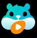 HamHub播放器