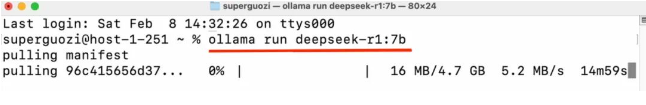 别再被DeepSeek R1本地部署割韭菜,我帮你把坑都踩遍了 | 附免费部署教程