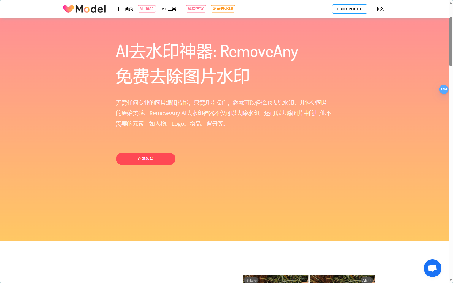 RemoveAny