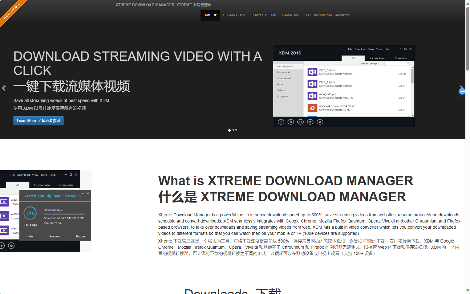 Xtreme Download Manager