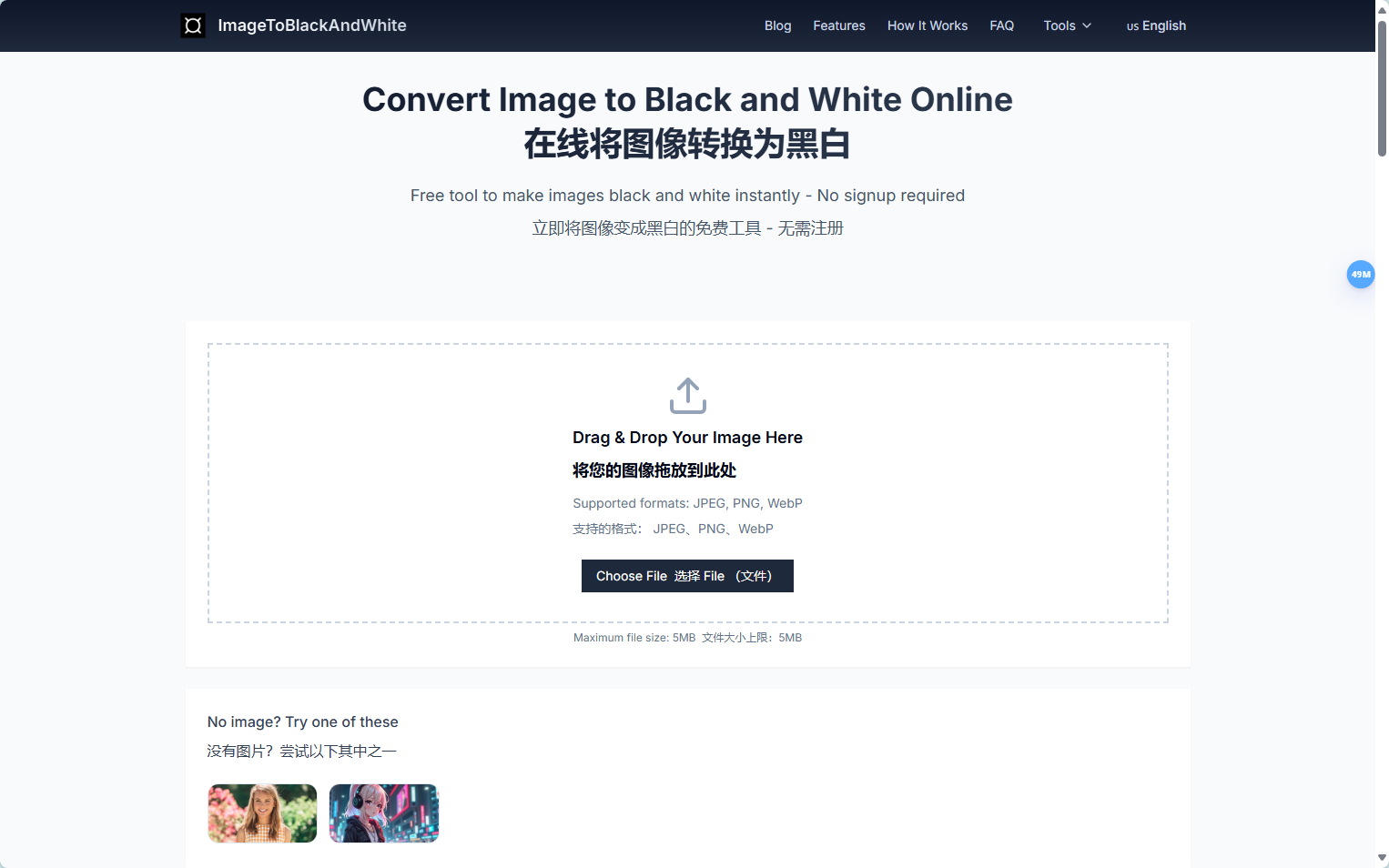 ImageToBlackAndWhite工具官网界面截图 ImageToBlackAndWhite