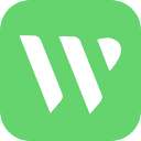 WiseMind AI