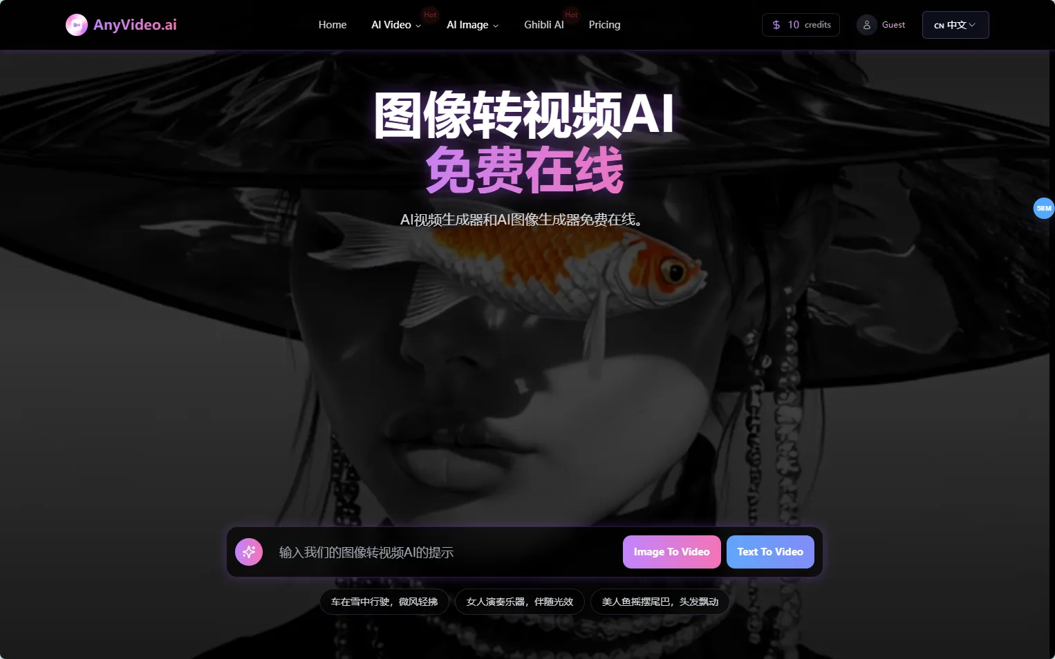 AnyVideo.ai