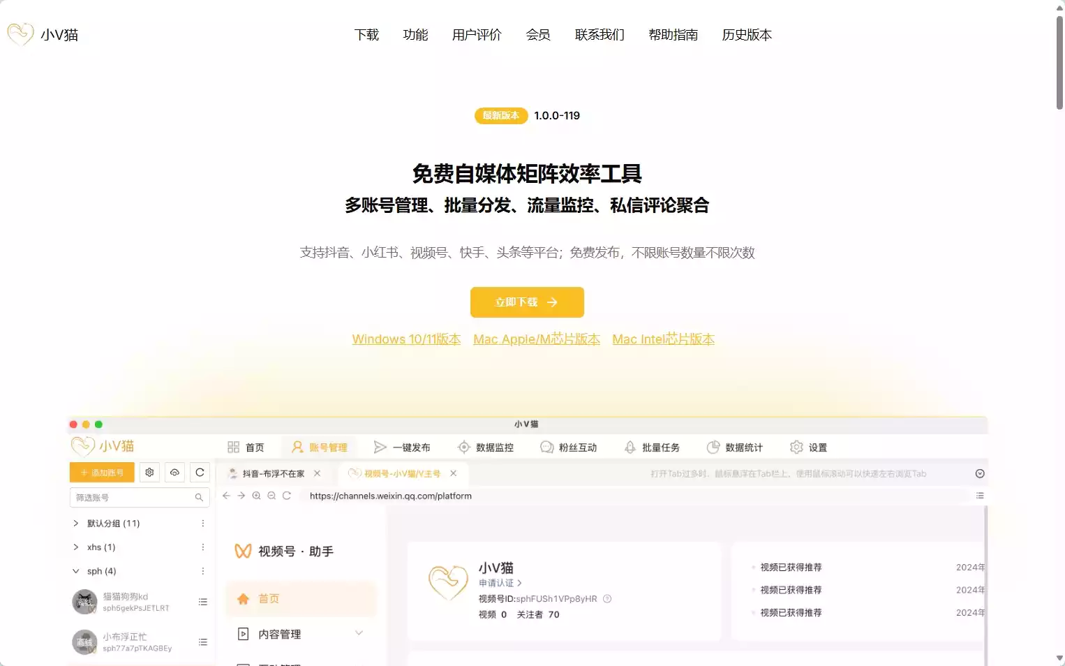 小V猫
