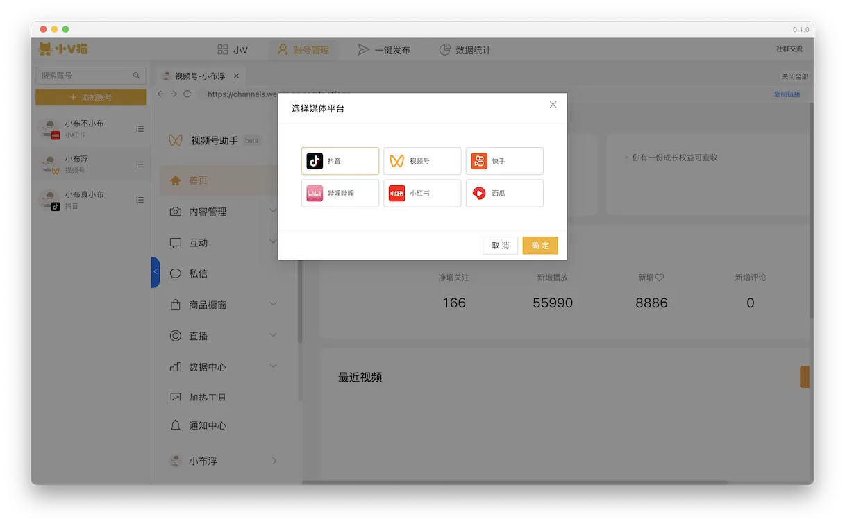 小V猫