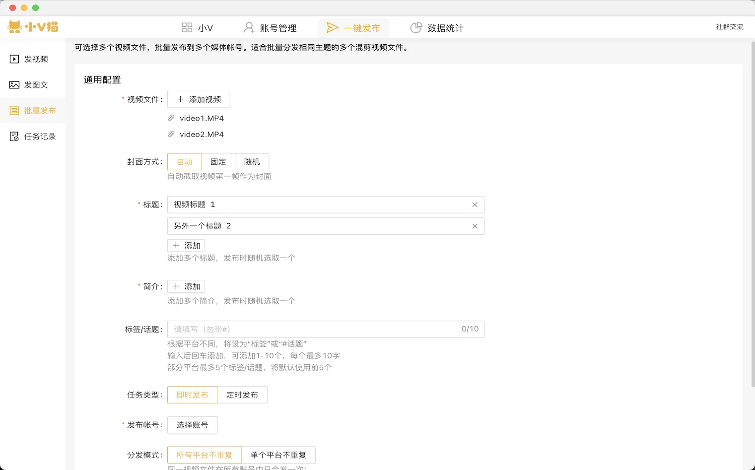 小V猫