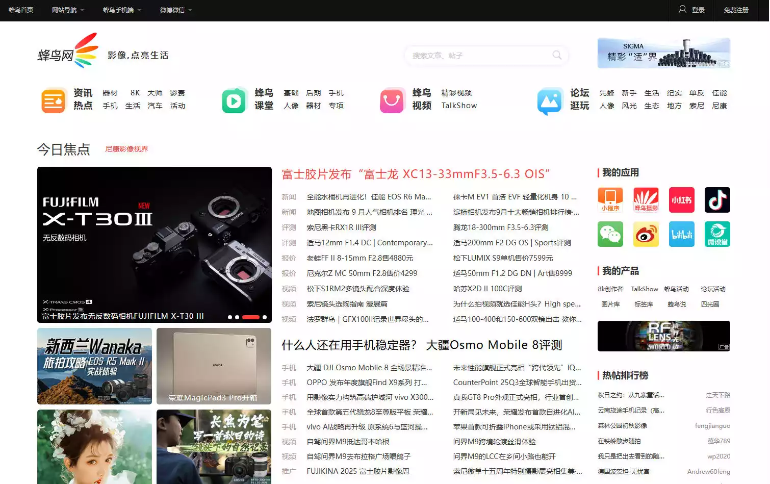 蜂鸟网