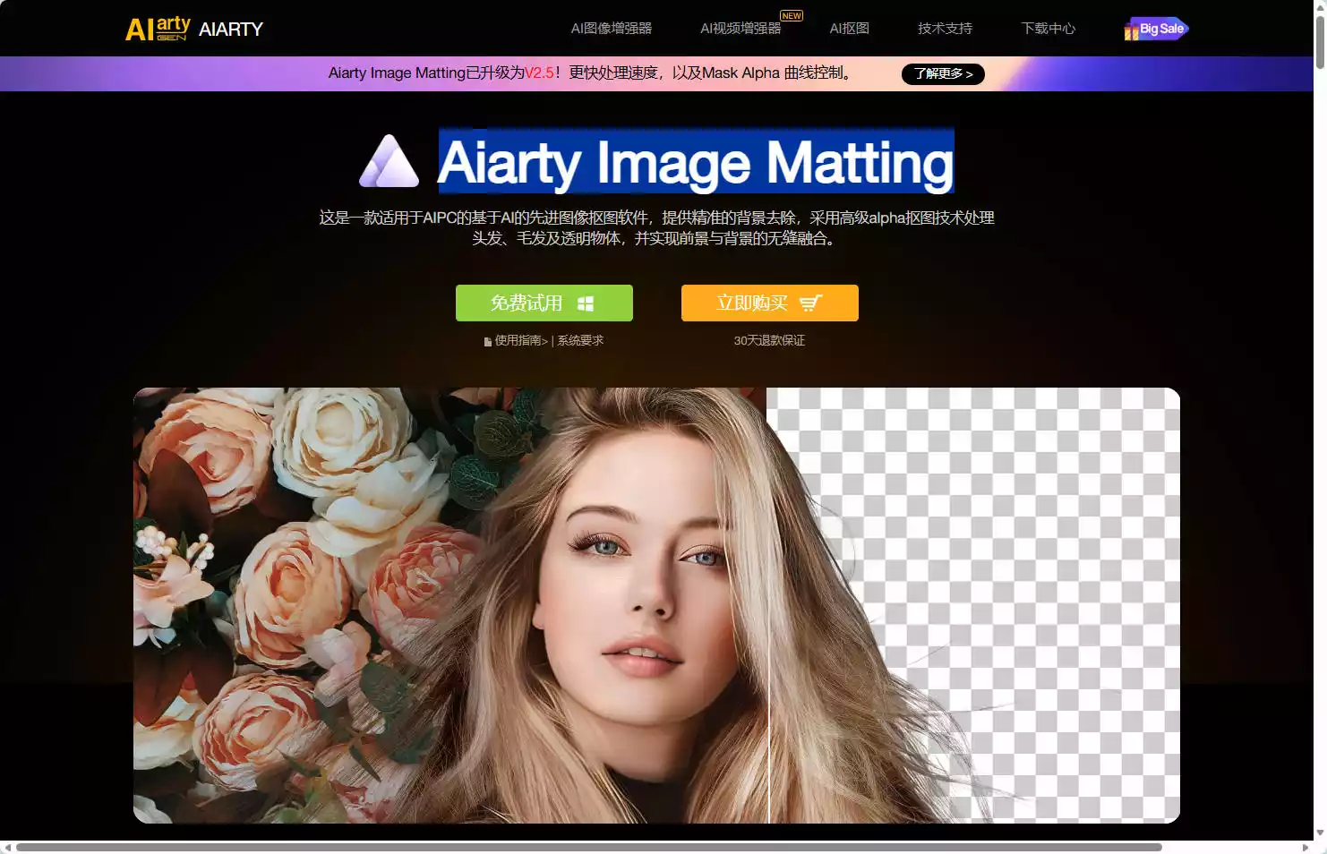 Aiarty Image Matting
