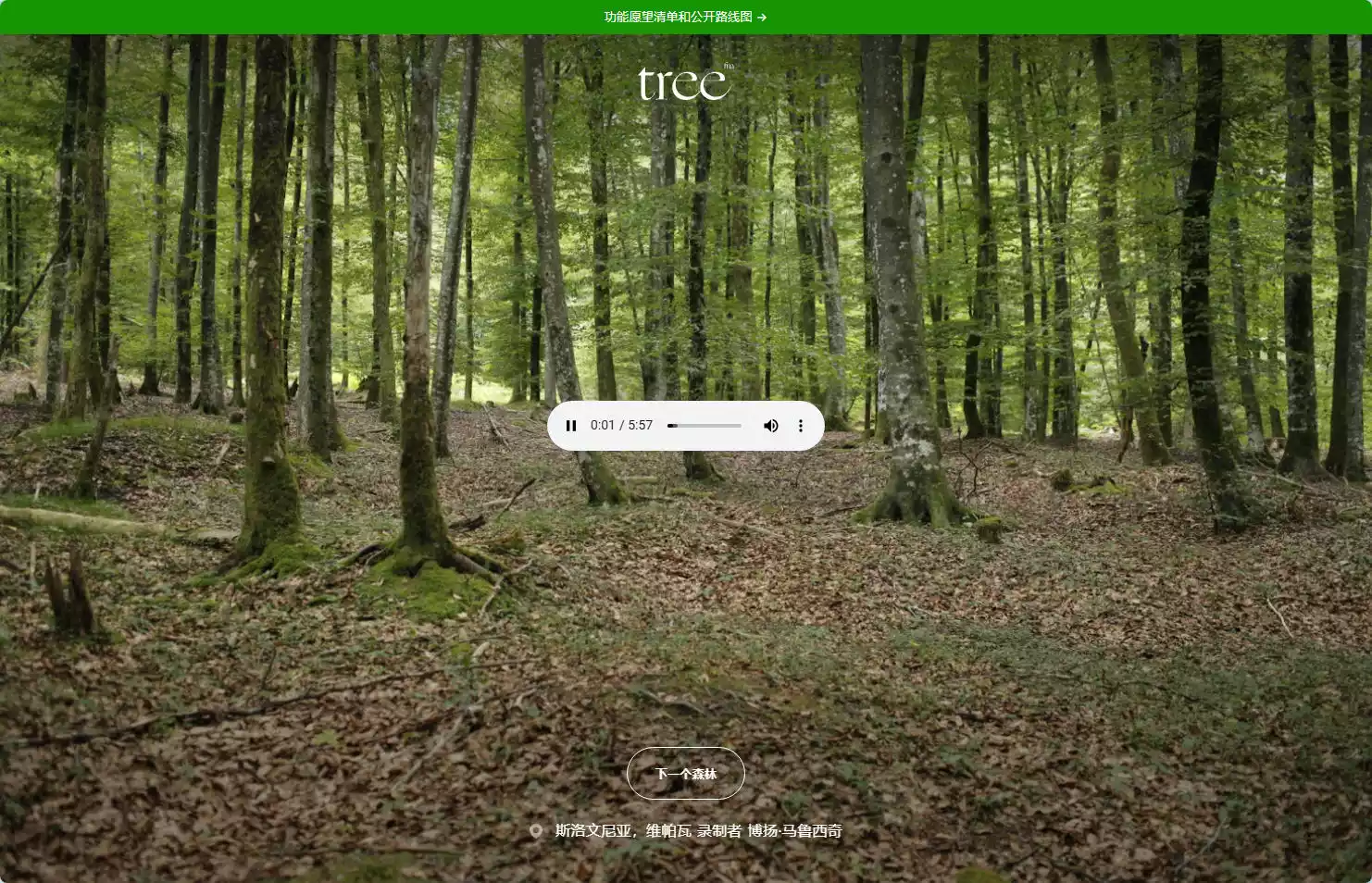 Tree FM