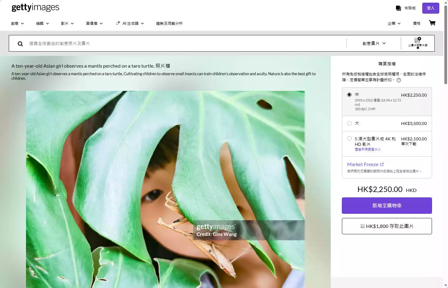 Getty Images:全球领先的高清图片与视频素材库