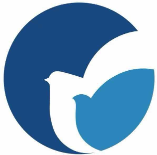 AI文献调研报告