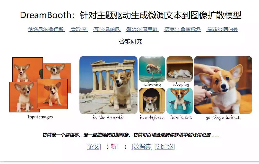DreamBooth