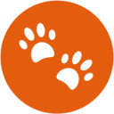 MyTalkingPet AI
